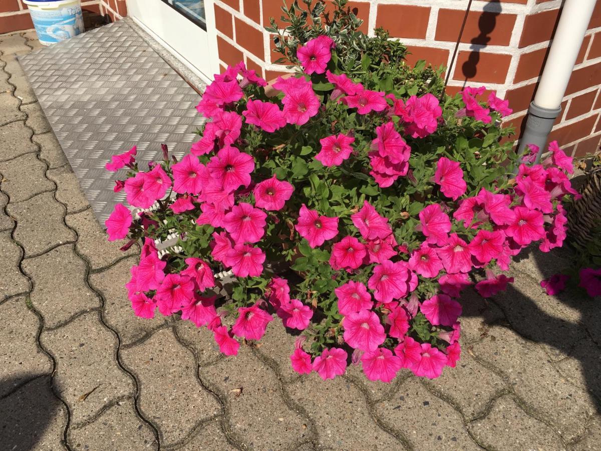 Pension Luisenhof ทังเงอร์มึนเดอ ภายนอก รูปภาพ