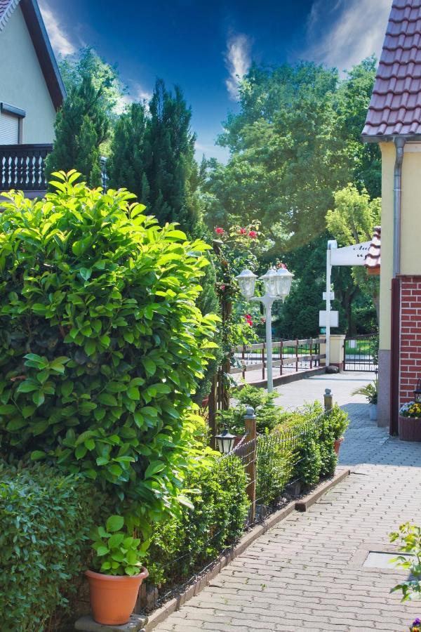 Pension Luisenhof ทังเงอร์มึนเดอ ภายนอก รูปภาพ